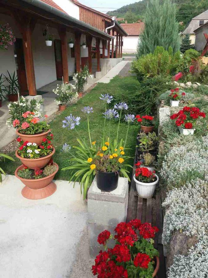 Sator-Hegy Vendeghaz Hotel Abaujszanto ภายนอก รูปภาพ